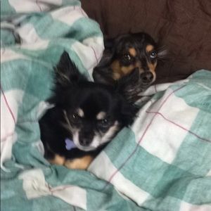 Meet your Posher, Alex